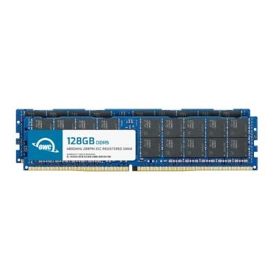 OWC 256GB (2x128GB) DDR5 4800 PC5-38400 CL40 4Rx4 288-pin 1.1V ECC Registered DIMM Memory RAM Module Upgrade Kit Black Chips