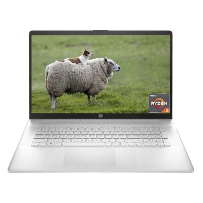 HP 2024 17.3 Laptop for Business, 17.3" HD+ Display, AMD Ryzen 3-7320U, Wi-Fi, Bluetooth, Windows 11 Home, 8GB DDR5 RAM | 256GB SSD