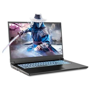 Sager Gaming Laptop NP7882E 17.3 Inch FHD 144Hz - Black